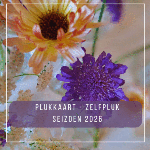 Plukkaart Seizoen 2026