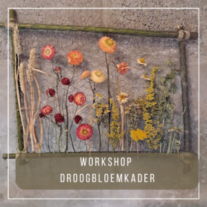 workshop droogbloemkader