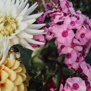 Eventbloemen