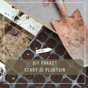 DIY pakket bloemenweide