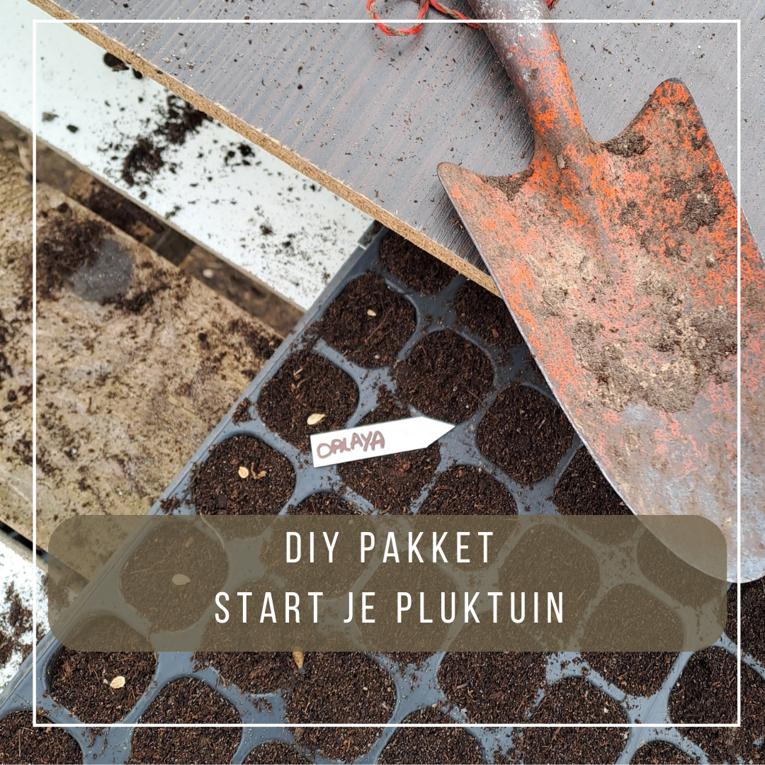 DIY pakket bloemenweide