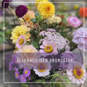 Allerheiligen grondstuk